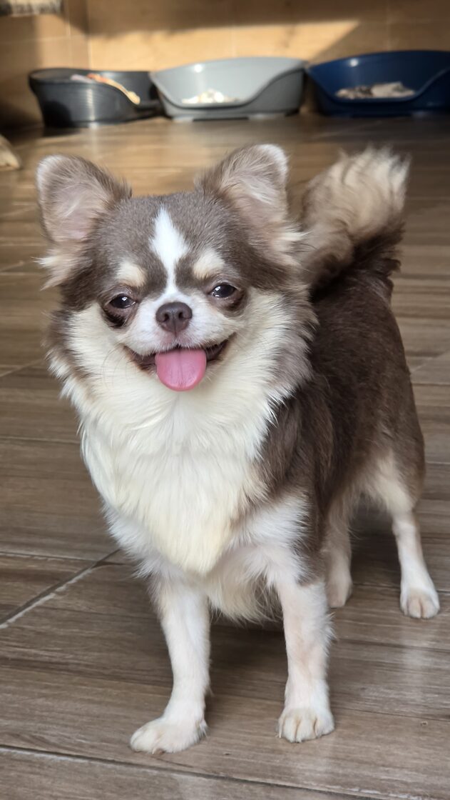 36500.jpg